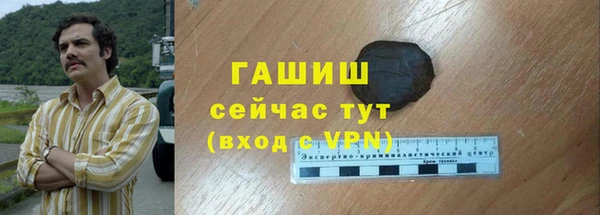 гидра Корсаков