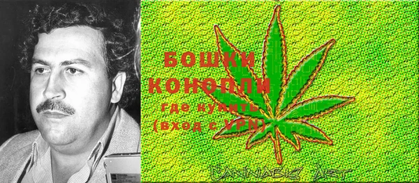 тгк Костерёво