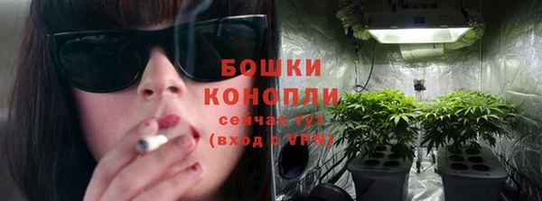 гидра Корсаков
