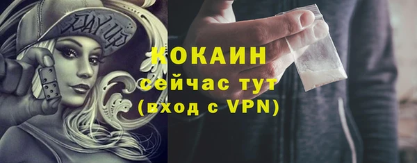 тгк Костерёво