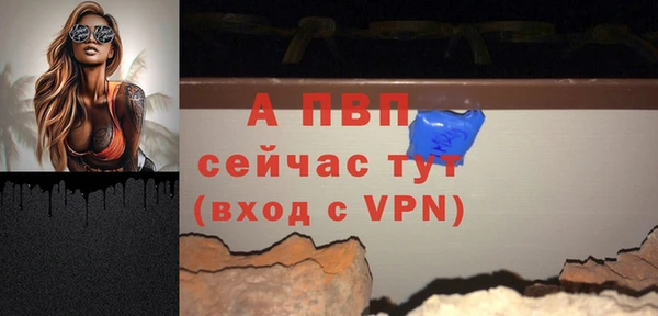 дживик Коряжма