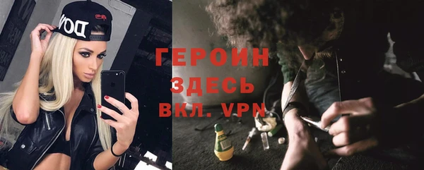 гидра Корсаков