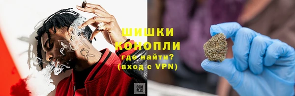 гидра Корсаков