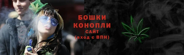 гидра Корсаков