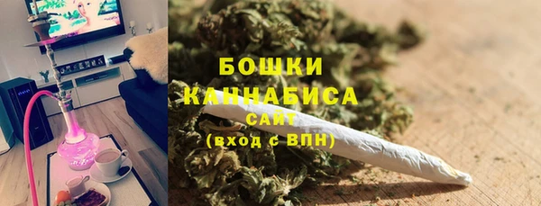 гидра Корсаков
