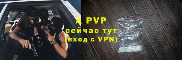 гидра Корсаков